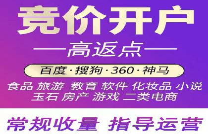 SEM运营推广助力行业领导地位